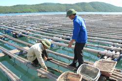 Phòng, chống dịch bệnh động vật thủy sản