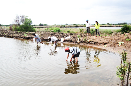 Nông dân thi đua sản xuất kinh doanh giỏi