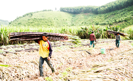 Khanh Hoa aims to develop mountainous areas firmly