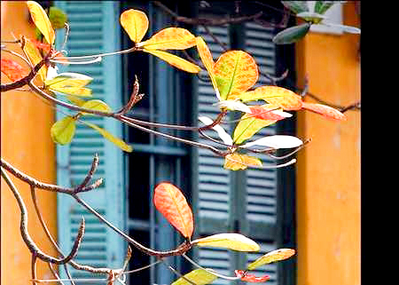 Câu chuyện bốn mùa