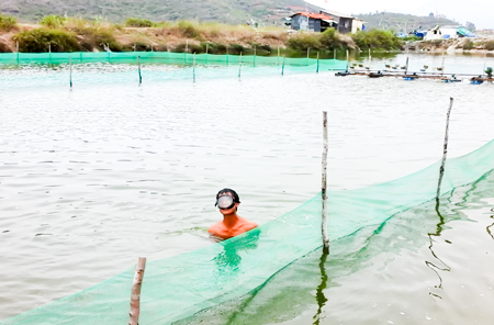 Xã Ninh Thọ: Sắp đạt chuẩn nông thôn mới