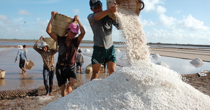 Muối Khánh Hòa đạt yêu cầu an toàn thực phẩm