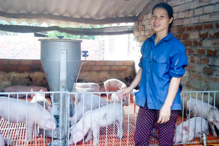 Một phụ nữ làm kinh tế giỏi