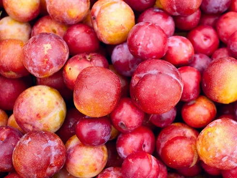 Những lưu ý cần tránh khi ăn mận