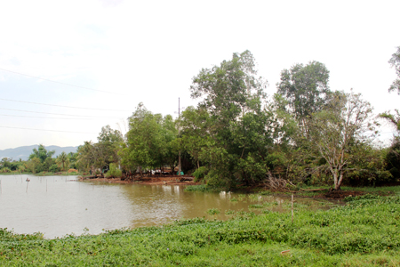 Phần đất mà ông Thì đang khiếu nại.