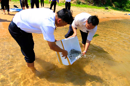 Thả cá hưởng ứng tuần lễ biển, hải đảo 2016