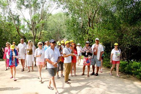 Thị trường khách Nga tăng trưởng nhẹ