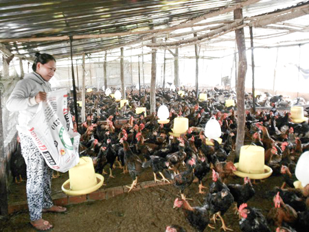 Một phụ nữ nỗ lực thoát nghèo