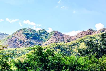 Một khu vực đất lâm nghiệp ở xã Phước Đồng, TP. Nha Trang đã giao cho doanh nghiệp đầu tư trồng rừng và du lịch sinh thái