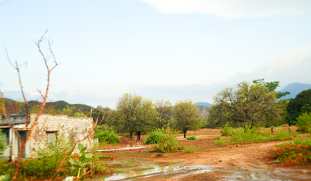 Kỳ vọng điện mặt trời ở Cam Ranh