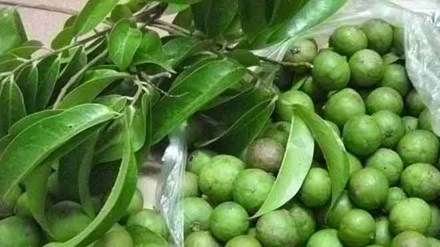 Những đồ ăn, thức uống giải nhiệt tuyệt vời từ quả sấu