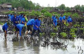 Environmental protection task training