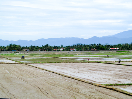 Khẩn trương triển khai sản xuất vụ hè thu