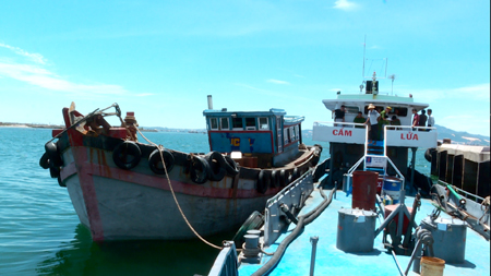 Bắt 2 tàu chở dầu lậu