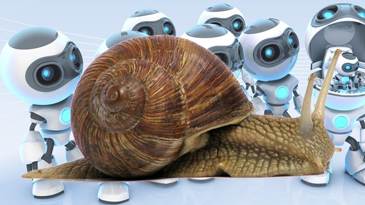 Chậm như ốc sên lại giúp người máy thông minh hơn
