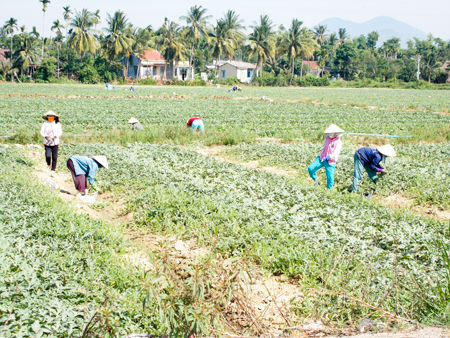 Hội Phụ nữ xã Vĩnh Phương: Nhiều mô hình hiệu quả