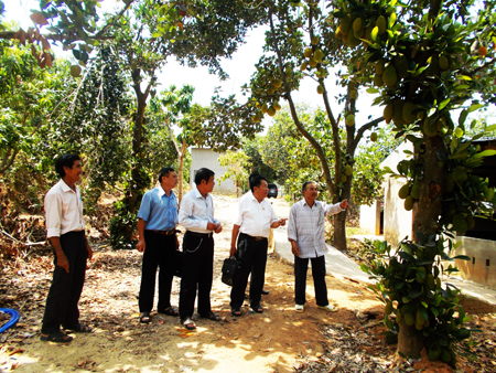 Nỗ lực làm kinh tế giỏi