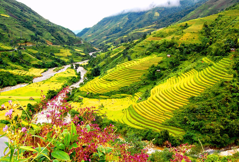 Việt Nam là một điểm đến tuyệt đẹp với những địa điểm lộng lẫy và hoang sơ. Những cảnh quan thiên nhiên đẹp mê hồn và nền văn hóa phong phú của đất nước sẽ khiến bạn say đắm từ cái nhìn đầu tiên.