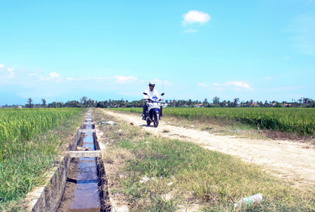 Dồn điền đổi thửa: Vạn sự khởi đầu nan