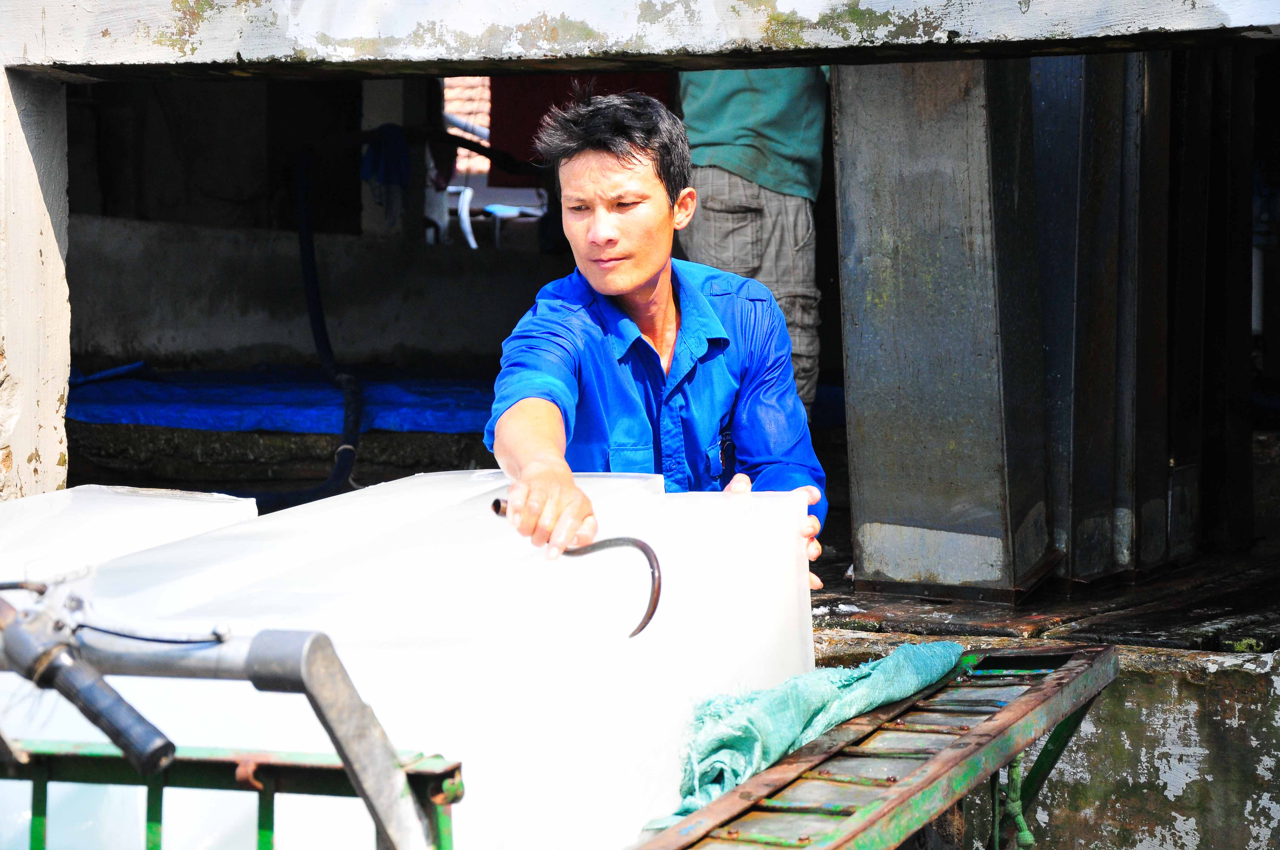 Cần tạo vốn vay cho thanh niên lập nghiệp