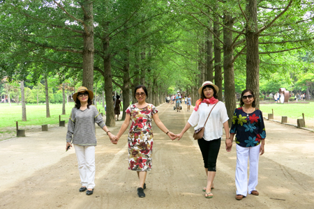 Rong ruổi trên đất Hàn