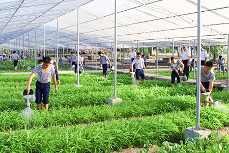 Nâng cao chất lượng bữa ăn cho bộ đội