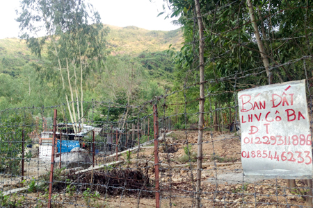 Kỳ 1: Vô tư bạt núi, phân lô