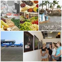 Chỉ đạo, điều hành của Chính phủ, Thủ tướng Chính phủ nổi bật tuần 4 - 8/7