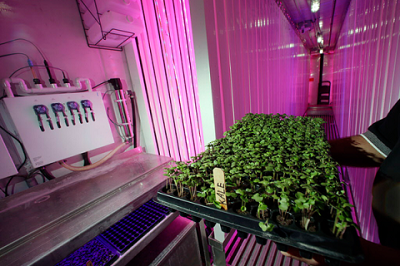 Mỹ thử nghiệm trồng rau trên tàu ngầm