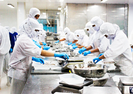 Fishery export of Khanh Hoa kept growth