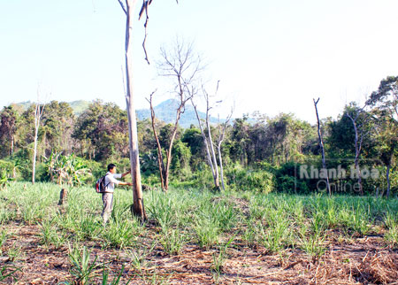 "Nước mắt"… căm xe!