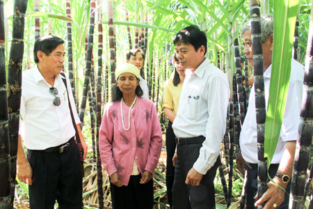 Hỗ trợ 116 mô hình sản xuất cho đồng bào dân tộc thiểu số nghèo và cận nghèo