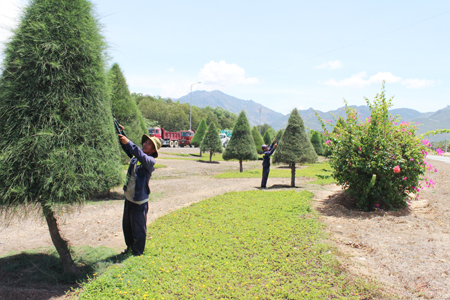 Những người tô điểm cho đại lộ