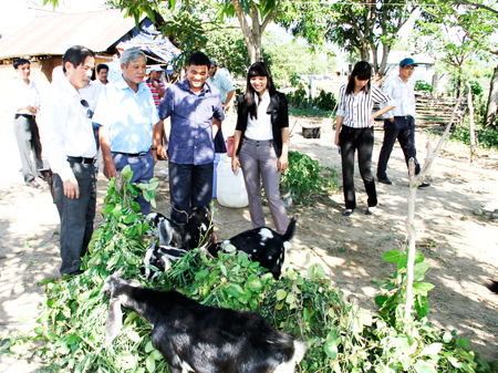 Xây dựng 53 mô hình sản xuất mới cho đồng bào dân tộc thiểu số