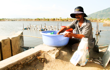 Ông Nguyễn Thanh Long trộn khoáng chất bổ sung vào thức ăn cho tôm