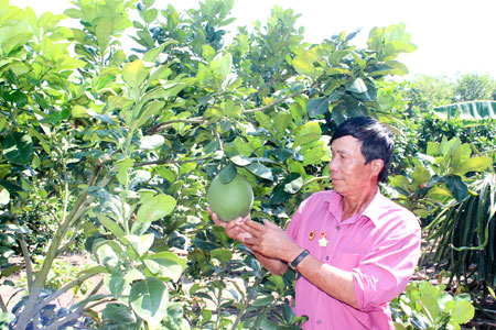 Những thương binh làm kinh tế giỏi