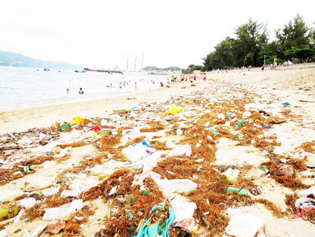 Cần làm sạch bãi biển