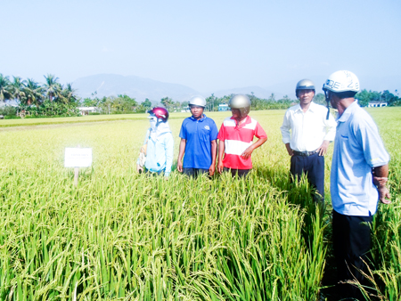 Cần thêm nhiều sự hỗ trợ