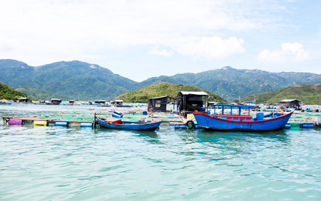 Một góc khu vực nuôi trồng thủy sản trên đầm Nha Phu