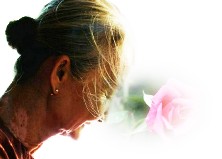 Bông hồng trắng cài áo