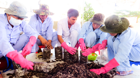 Thêm mô hình điều trị cho bệnh nhân tâm thần