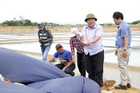 Đồng chí Đào Công Thiên (thứ hai từ phải sang) kiểm tra thực tế tại gò muối  đã được Công ty Cổ phần Muối Cam Ranh thu mua