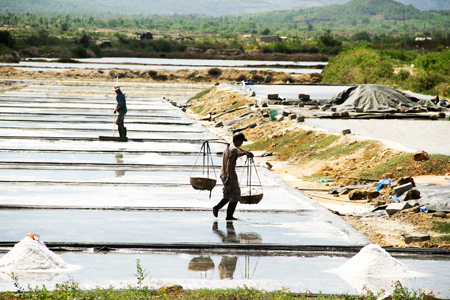  Diêm dân xã Ninh Thọ sản xuất muối