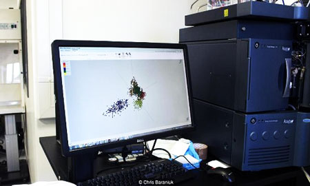 Bằng cách sử dụng kết quả phân tích khói, nhóm nghiên cứu có thể phân biệt các loài cá