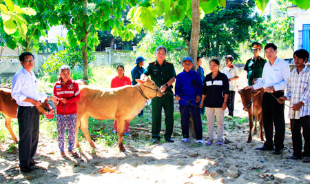 Lãnh đạo Bộ Chỉ huy Quân sự tỉnh tặng bò cho người dân xã Khánh Phú, huyện Khánh Vĩnh