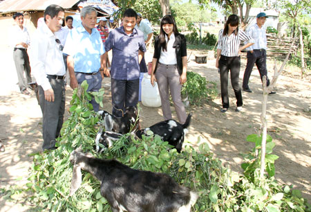 Cam Ranh: Nỗ lực giảm nghèo vùng dân tộc thiểu số