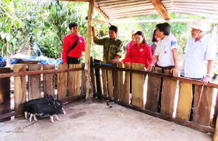 Góp phần giảm nghèo