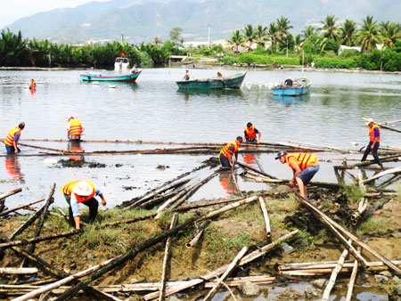 Hơn 1.000 lồng bè sẽ bị tháo dỡ, tiêu hủy
