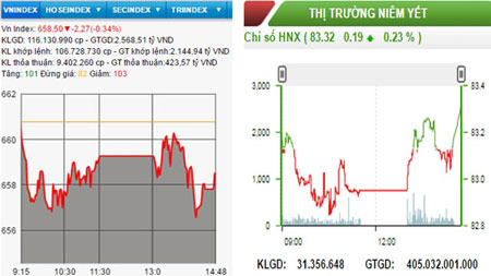 HNX-Index giữ được sắc xanh, VN-Index mất mốc 660 điểm
