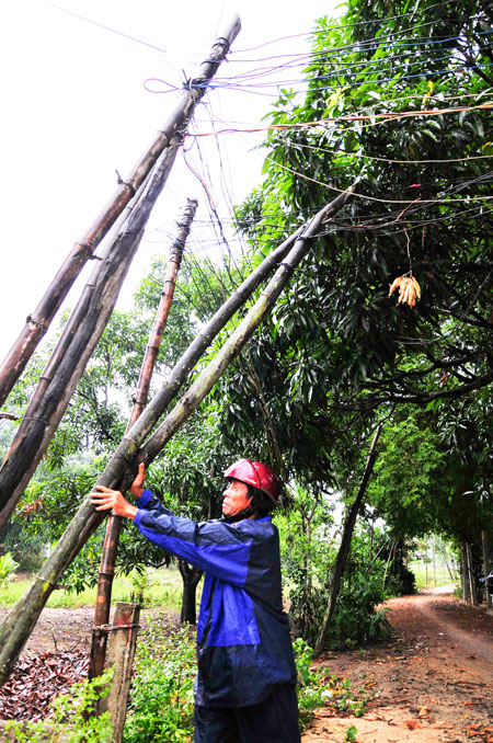 Hệ thống điện nông thôn sẽ được cải tạo